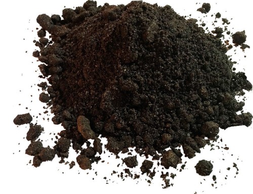 geoSUBSTRAT intensywny trawnikowy ST