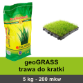 geoGRASS 5.png