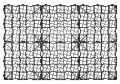 geoSYSTEM-G25-metr-kwadratowy